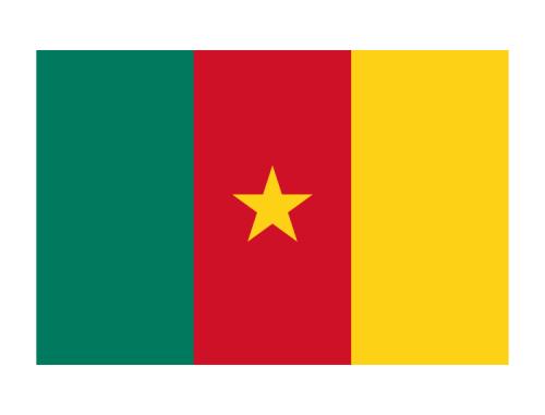 We helped a Cameroon client draft a regional exclusive agency agreement.